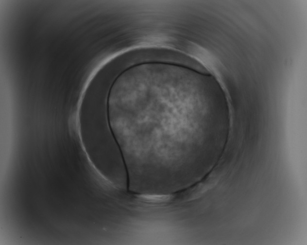 X0000093131344200710031345