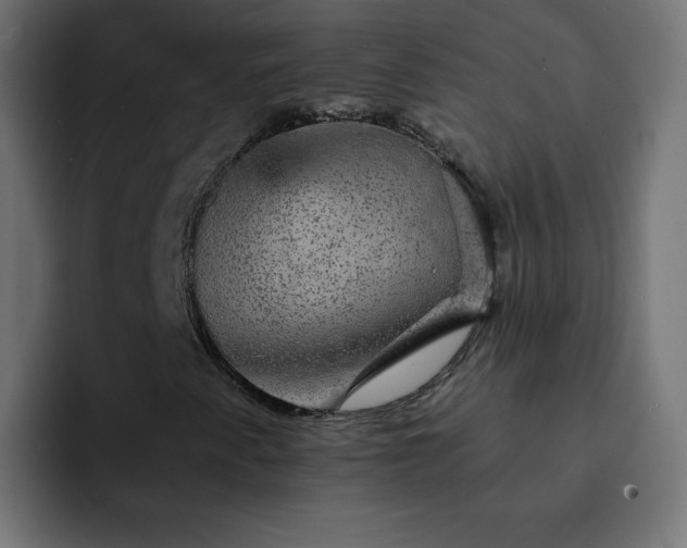 X0000093131345200710031344
