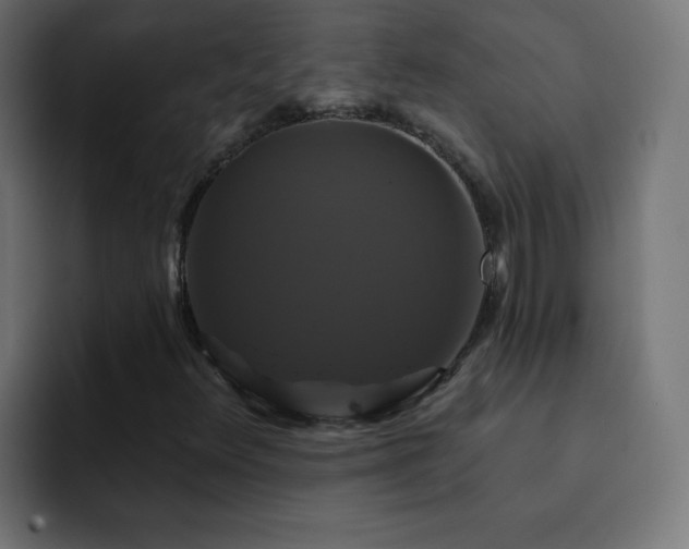X0000093131348200710031344
