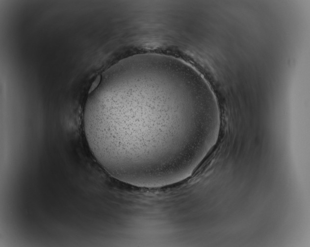 X0000093131349200710031344