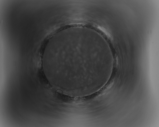X0000093131350200710031344