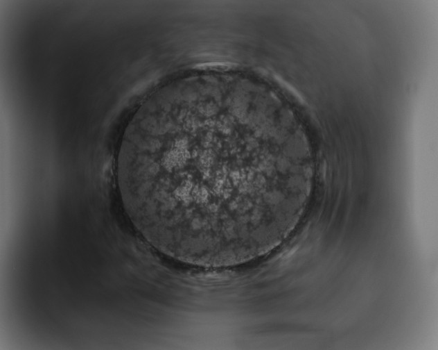 X0000093131351200710031344