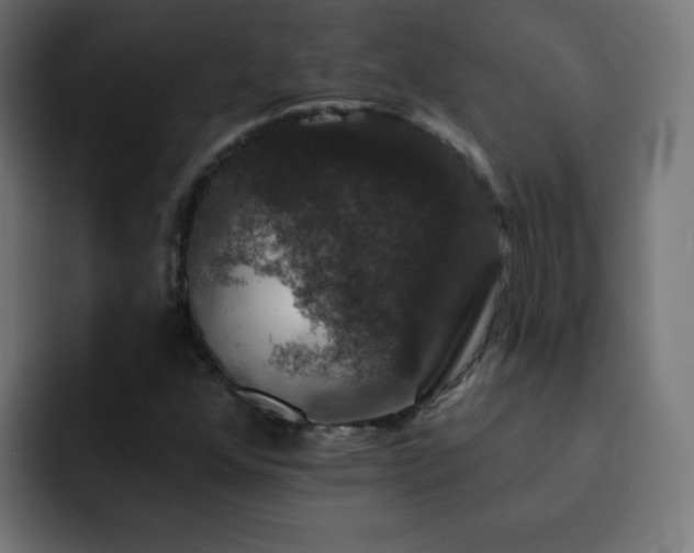 X0000093131352200710031344