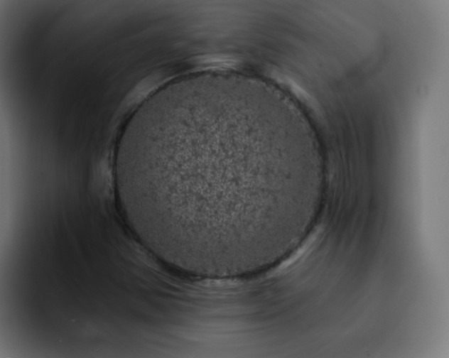 X0000093131354200710031344