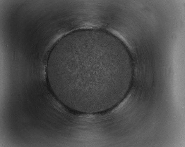 X0000093131355200710031344