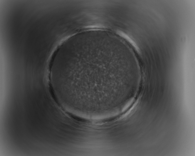 X0000093131357200710031344