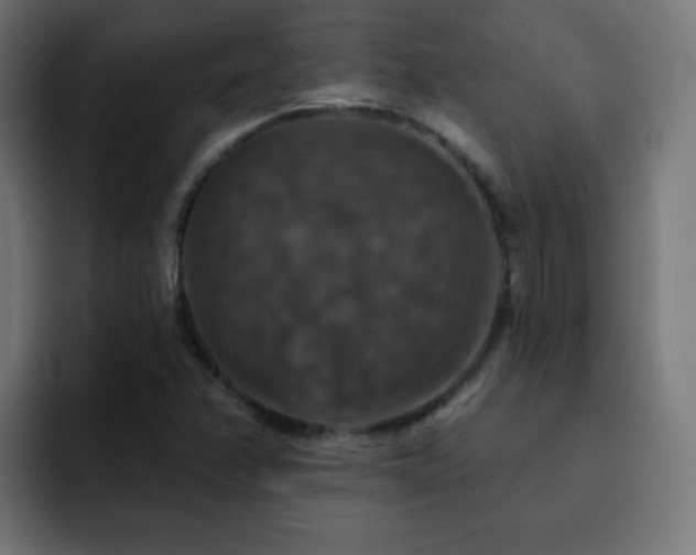 X0000093131358200710031344