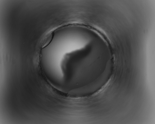 X0000093131359200710031344