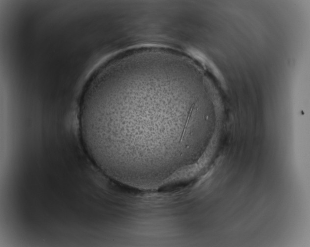 X0000093131360200710031344