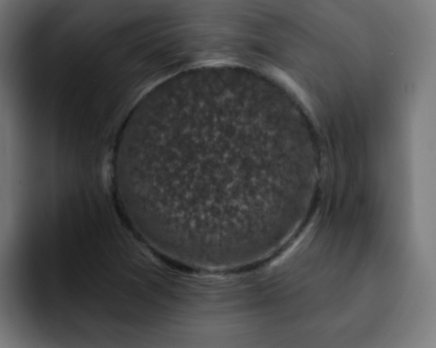 X0000093131361200710031344