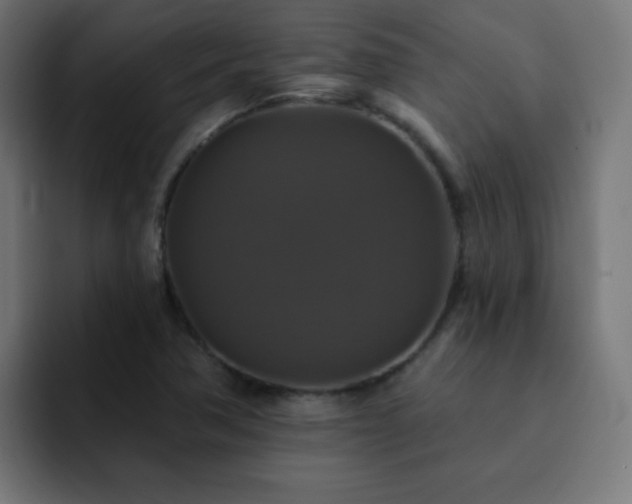 X0000093131362200710031344