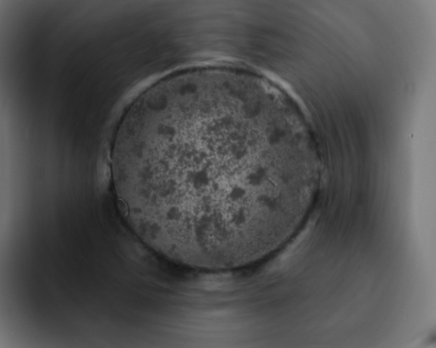 X0000093131363200710031344