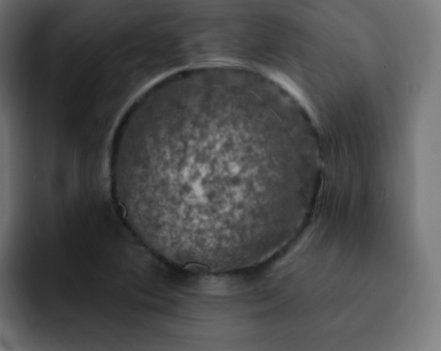 X0000093131364200710031344