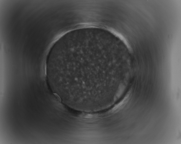 X0000093131365200710031344