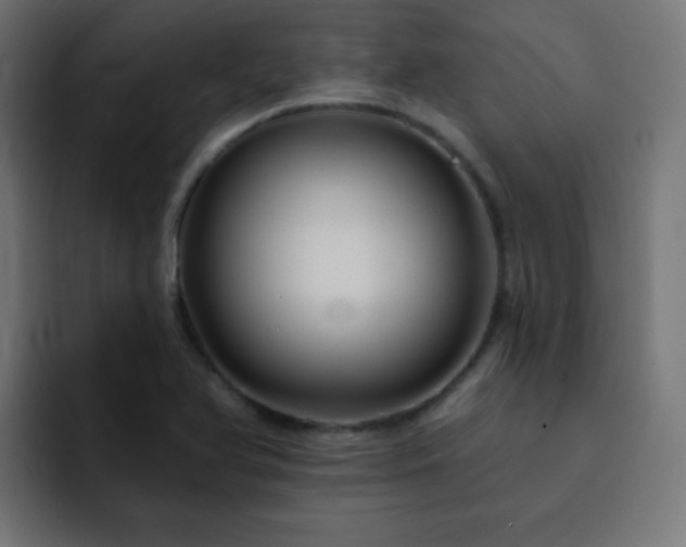 X0000093131366200710031344