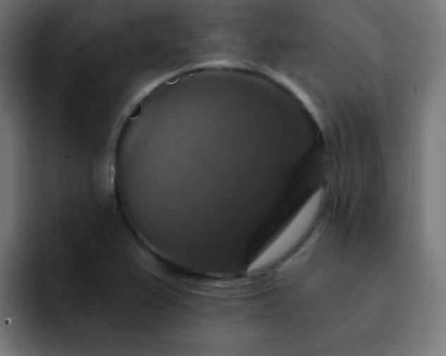 X0000093131367200710031344
