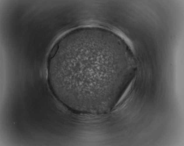 X0000093131368200710031344