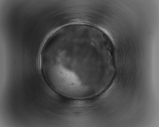 X0000093131371200710031344