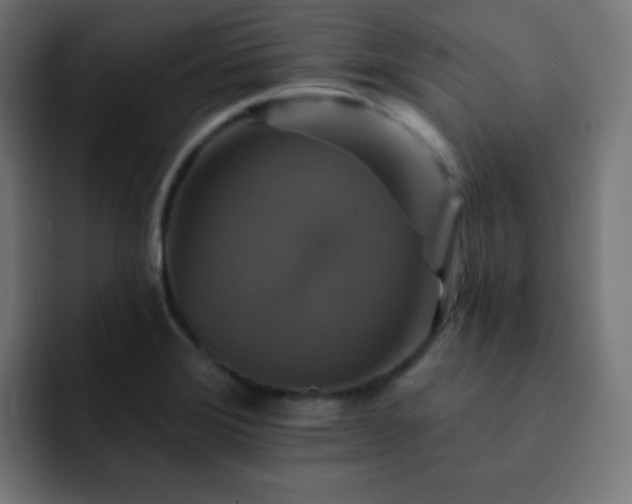 X0000093131372200710031344