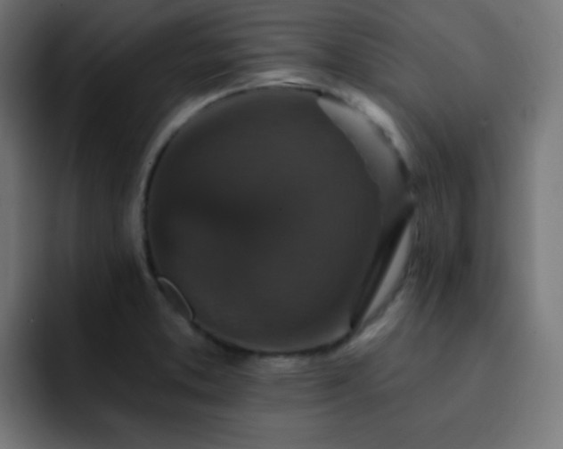 X0000093131373200710031344