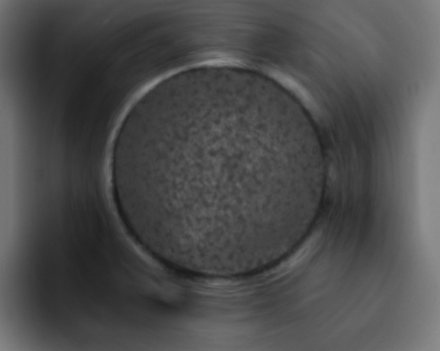 X0000093131375200710031344