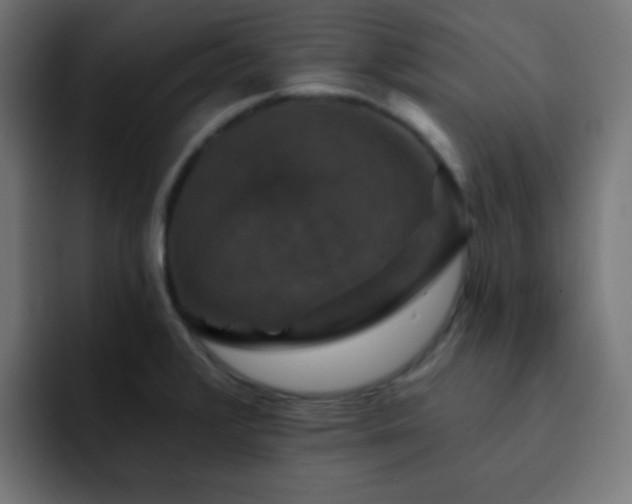 X0000093131376200710031344