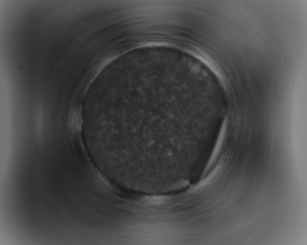X0000093131377200710031344
