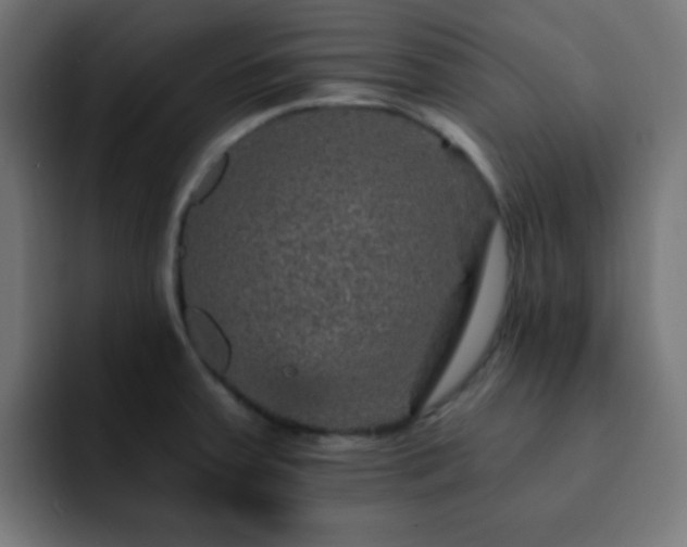 X0000093131379200710031344