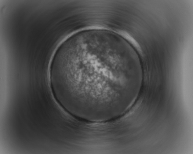 X0000093131380200710031344
