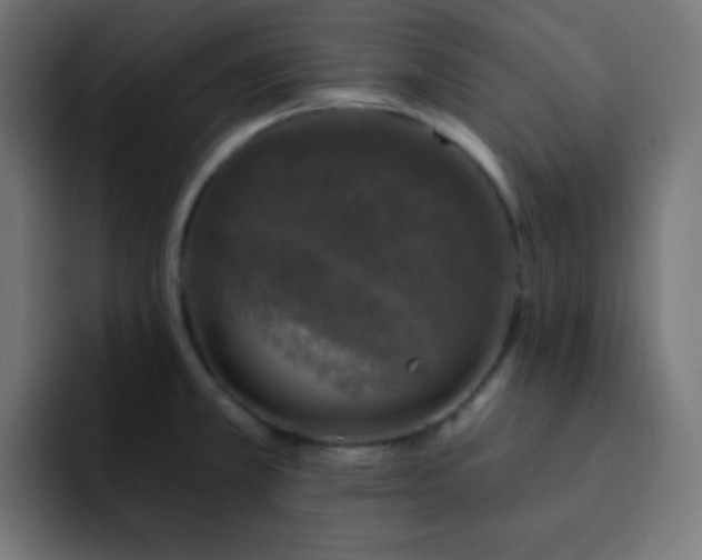 X0000093131381200710031344