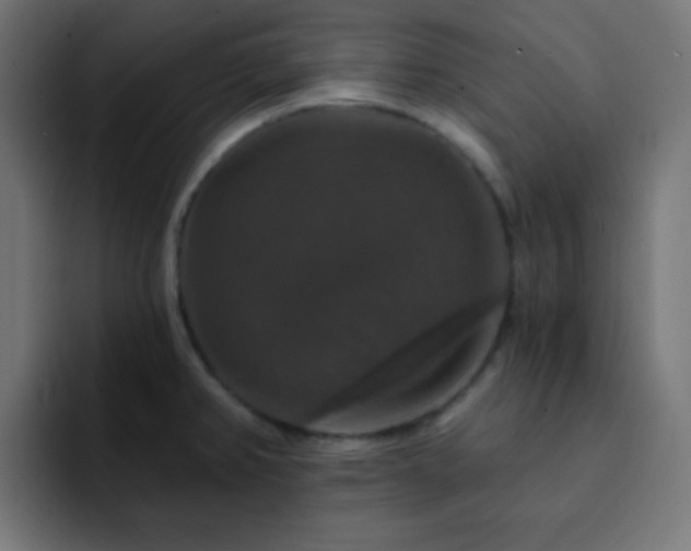 X0000093131382200710031344