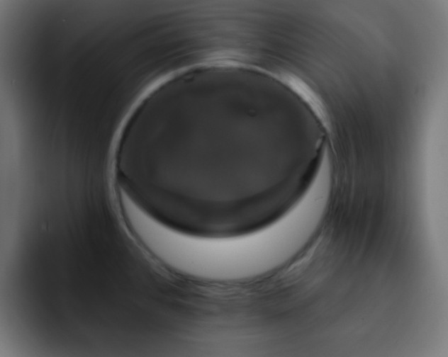 X0000093131384200710031344