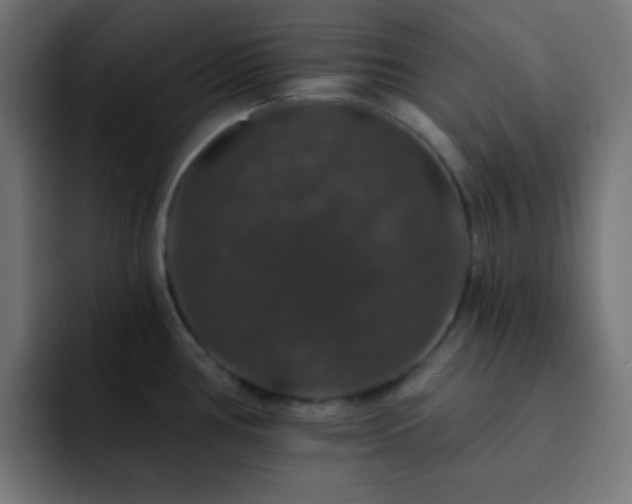 X0000093131386200710031344