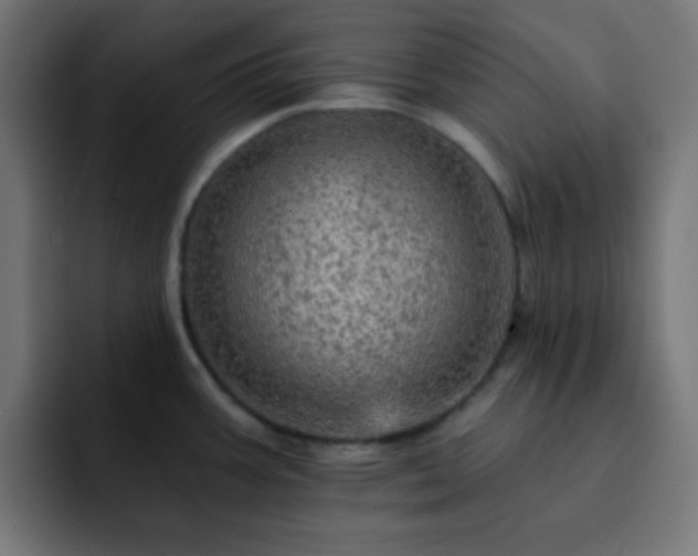 X0000093131387200710031344