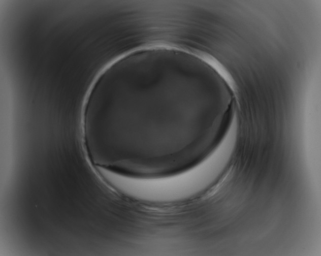 X0000093131388200710031344