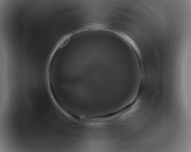 X0000093131389200710031344