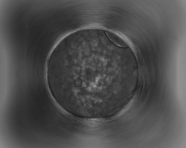 X0000093131390200710031344