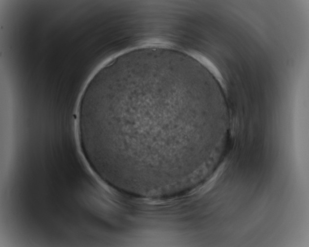 X0000093131391200710031344