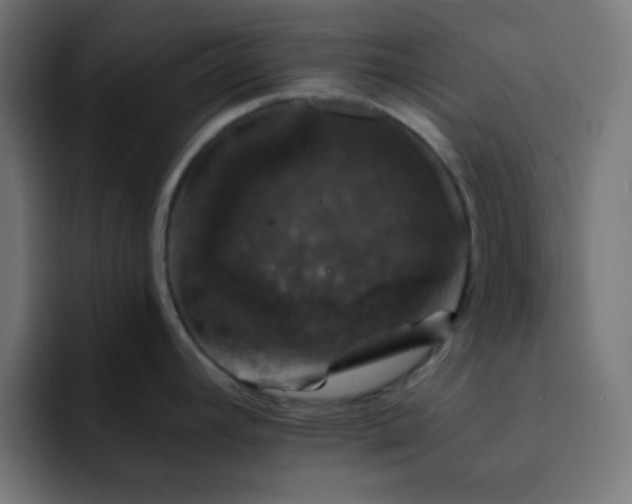 X0000093131392200710031344