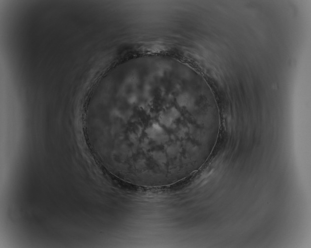 X0000093131393200710031343