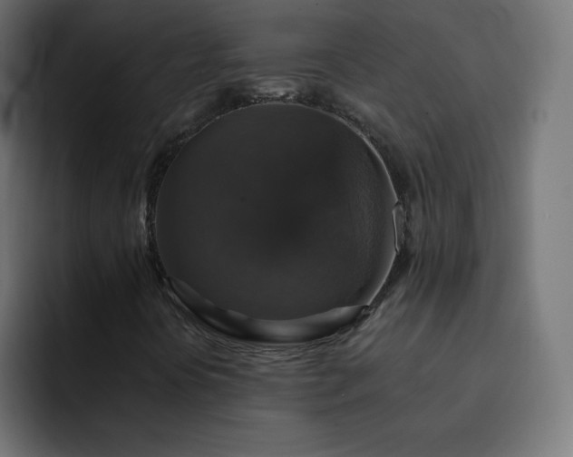 X0000093131394200710031343