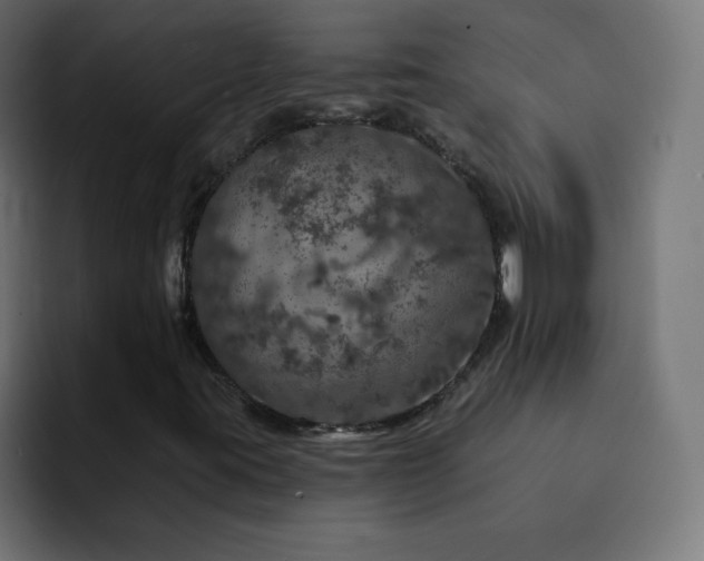 X0000093131395200710031343