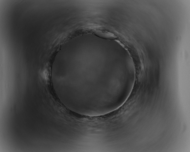 X0000093131397200710031343