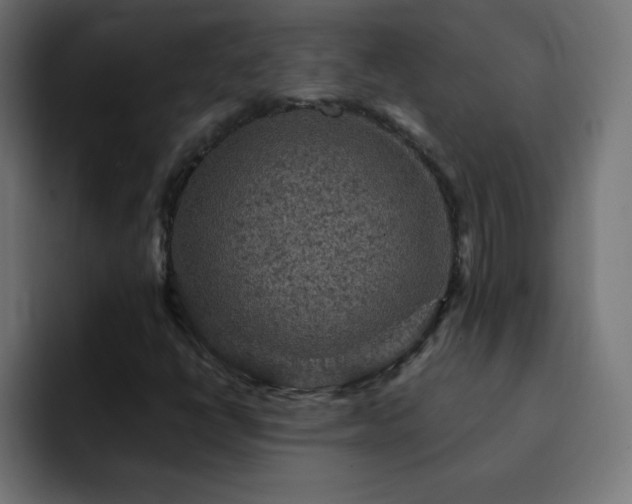 X0000093131398200710031343
