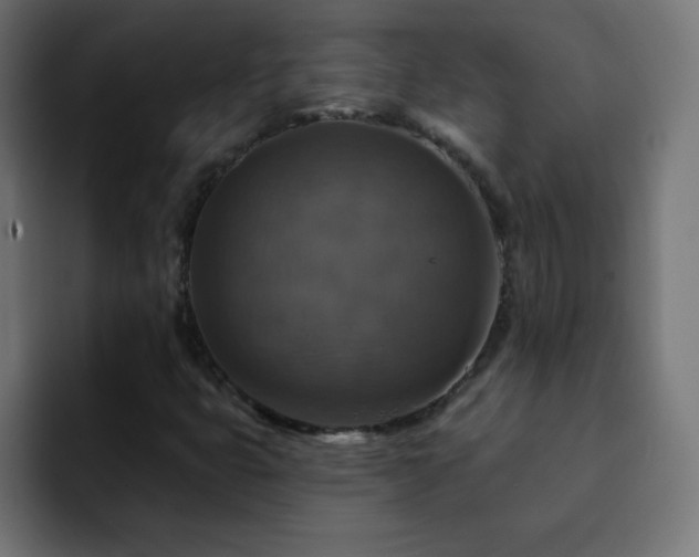 X0000093131399200710031343