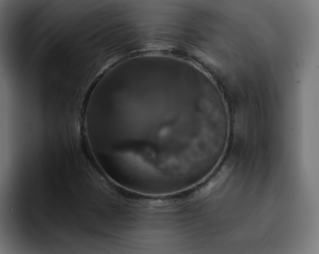 X0000093131401200710031343