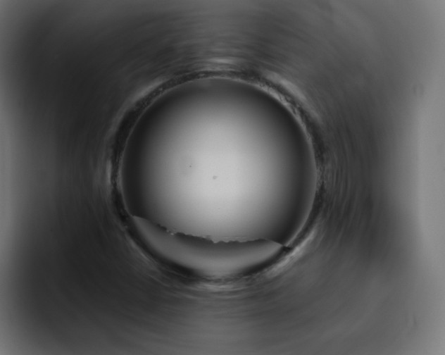 X0000093131402200710031343