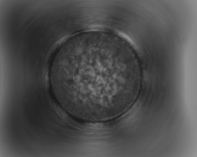 X0000093131403200710031343