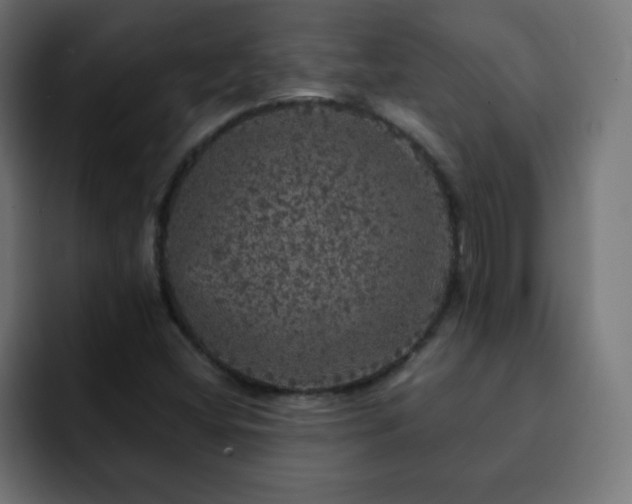 X0000093131404200710031343