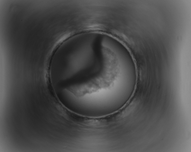 X0000093131405200710031343